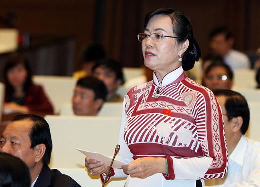 Tiếp tục tranh luận về tổ chức HĐND