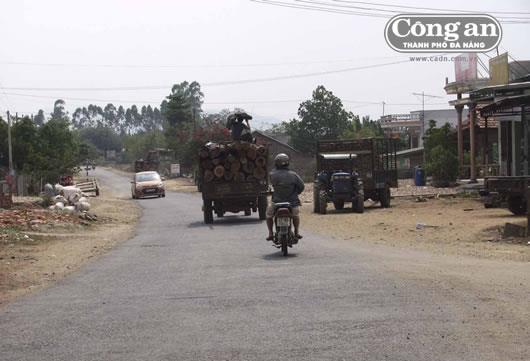 Khi rừng là miếng mồi ngon