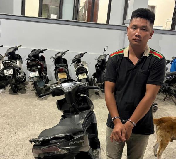 Bắt đối tượng trộm gần 40 triệu đồng trong 2 con heo đất