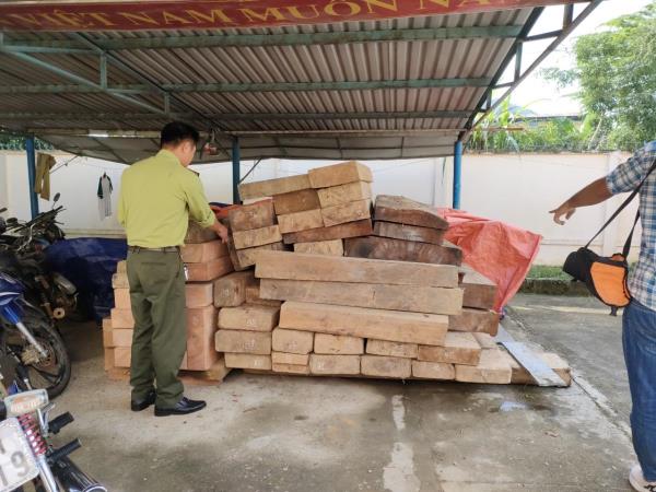 Quảng Nam, tạm giữ gần 5 khối gỗ trái pháp luật tại huyện Phước Sơn