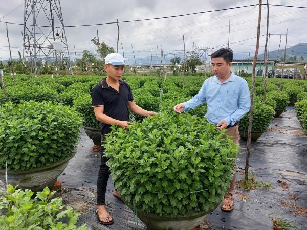 Làng hoa Vân Dương: Còn đó những trăn trở