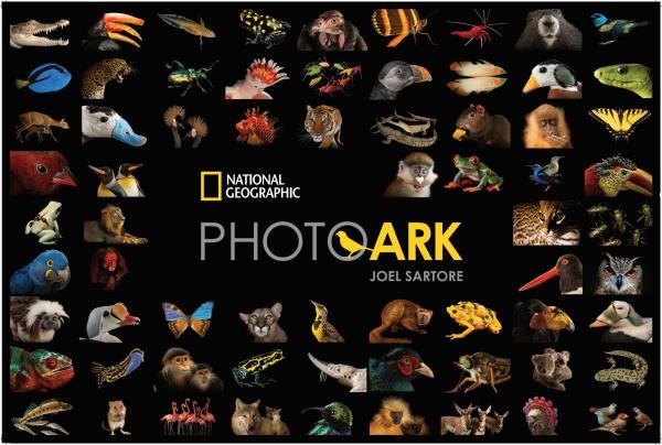 Đoàn nhiếp ảnh gia đình đám National Geographic đổ bộ Vinpearl Safari Phú Quốc