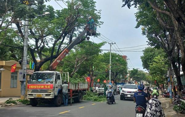 Đà Nẵng bắt đầu cắt tỉa gần 47.000 cây xanh đô thị trước mùa mưa bão