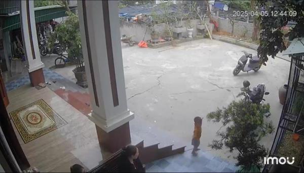 Bé trai 3 tuổi nói chưa sõi gọi người cứu bạn bị đuối nước