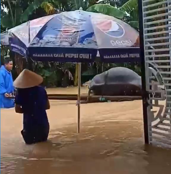 Quảng Nam, mưa lớn gây ngập lụt khiến người dân không kịp trở tay