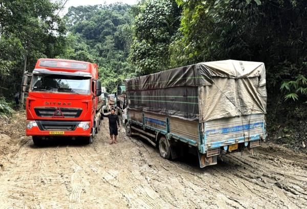Tìm giải pháp vận chuyển hàng hóa từ Lào đến Việt Nam trên tuyến QL14D