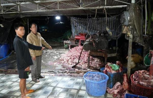 Triệt phá đường dây tiêu thụ khoảng 400 tấn lợn bệnh, chết