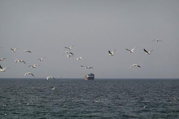Iran tuyên bố đóng Eo biển Hormuz, dọa bắn mọi tàu thuyền đi qua