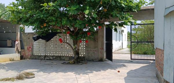 Đất của mình, người khác xây nhà rồi vào ở