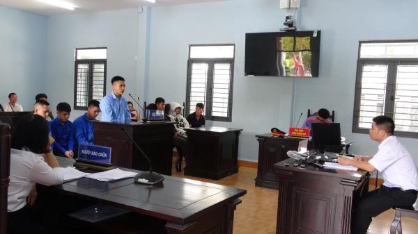 Tuyên án nhóm trộm cắp, tiêu thụ sâm Ngọc Linh
