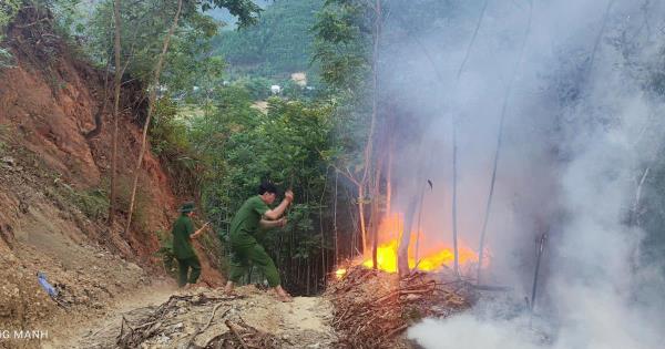 Các lực lượng nỗ lực khống chế vụ cháy rừng keo giữa trời nắng gắt