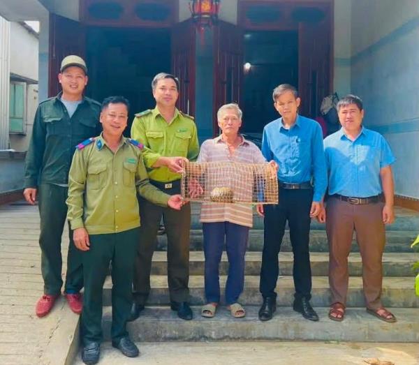 Giải cứu tê tê mắc lưới