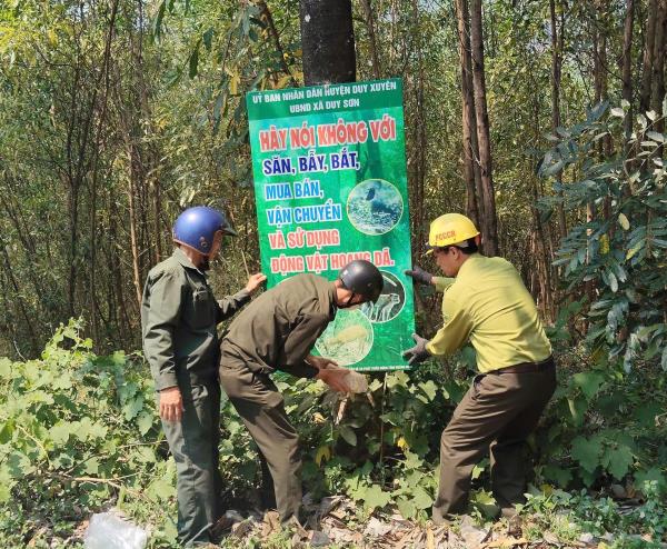Quyết liệt triển khai các giải pháp quản lý, bảo vệ và phát triển rừng