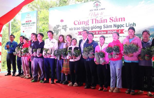 Trao hơn 17.000 cây giống sâm Ngọc Linh, lan tỏa sinh kế từ đại ngàn