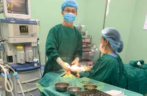 Nghệ An thực hiện nghiêm các biện pháp phòng chống bệnh dại