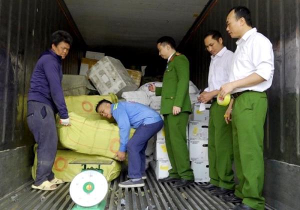 Nội tạng trôi nổi từ Bắc vào Nam