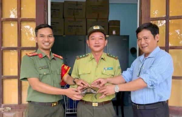 Người dân giao nộp rùa quý hiếm