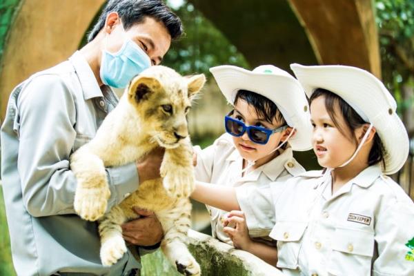 Ưu đãi siêu đỉnh mua vé vui chơi tặng phòng khách sạn Wonder Combo
